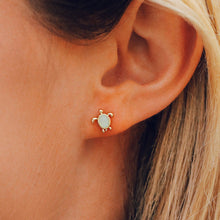 Load image into Gallery viewer, Sea Turtle Stud Earrings