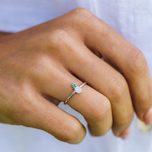 Load image into Gallery viewer, FALSE